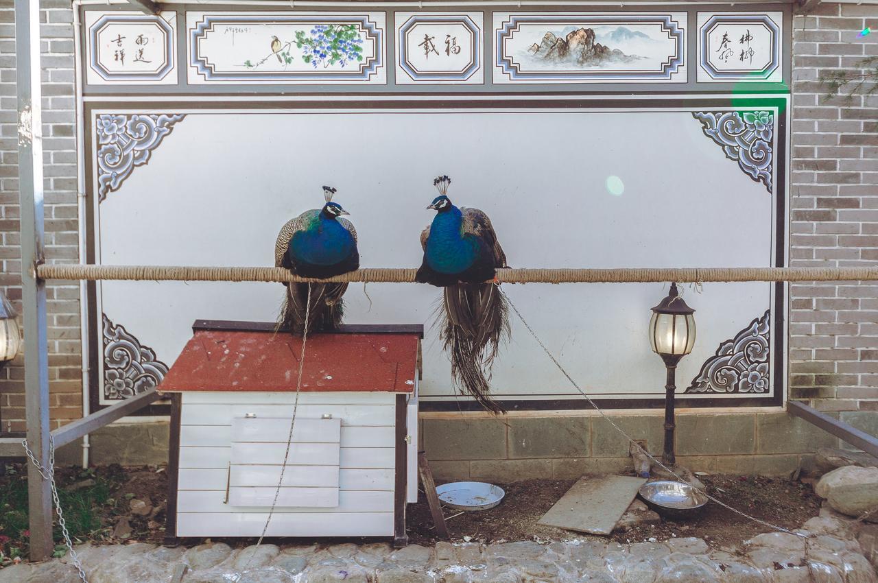 Yinfeng Hotel Dali  Exterior photo