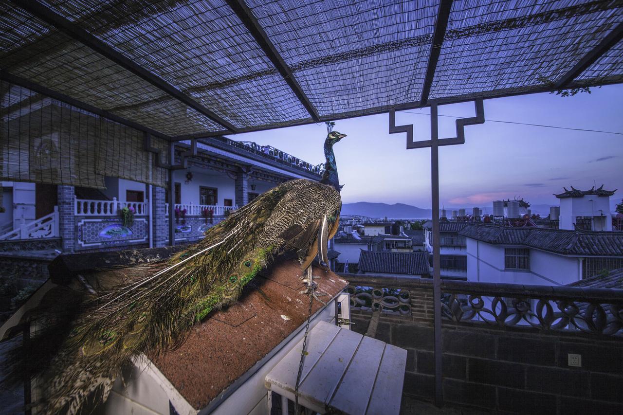 Yinfeng Hotel Dali  Exterior photo